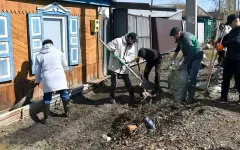 Североказахстанцы провели экологические акции в рамках Тазару күні
