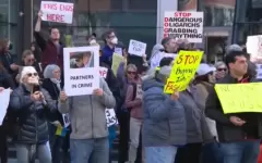 Протесты против Илона Маска продолжаются в США