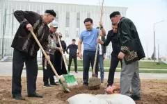 Более тысячи саженцев деревьев посадили в Тазару күні в Шымкенте