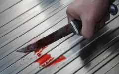 Пьяный житель Павлодара нанес ножевые ранения своей жене