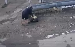 Видеокамеры помогают следить за экологической ситуацией