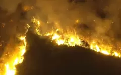 Людей эвакуируют из-за мощных лесных пожаров в Японии