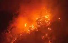 Крупный лесной пожар продолжают тушить в Южной Корее