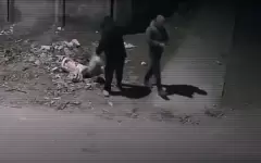 Как видеокамеры помогают в борьбе с экологическими нарушениями в Казахстане