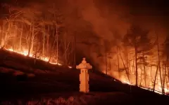 18 человек погибли, 10 пострадали в лесных пожарах в Южной Корее: есть ли среди них казахстанцы