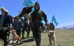 Использовали животных для развлечения на Наурыз: кто понесет ответственность, ответил министр экологии