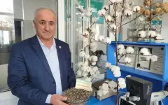 Соль земли и хлопок