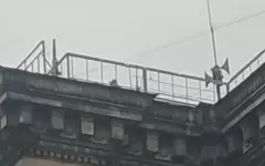 Снайпера на крыше заметили во время празднования Наурыза в Алматы
