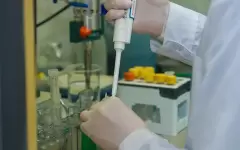 Как будут развивать региональную науку: приняты методические рекомендации