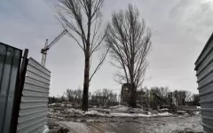 Жители столицы просят сохранить сквер