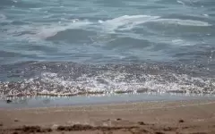 Прокуратура оспорила запрет Минсельхоза на купание во всех водоемах РК