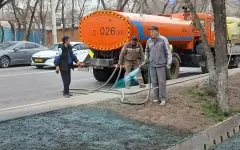 Зачем в Алматы газоны красят в зеленый, объяснили в акимате