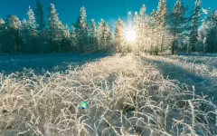 Алматинцев ждет снег в последние дни марта, в Шымкенте потеплеет до +21°C