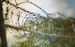 22-летнего фаната сериала Во все тяжкие арестовали при облаве на нарколабораторию