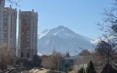 До +25 градусов тепла ожидается в Алматы на следующей неделе