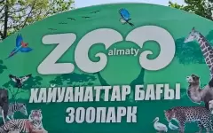 В зоопарке Алматы рассказали о редких животных – участниках европейской программы