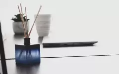Об опасности использования ароматизаторов для дома предупредили врачи
