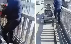 Участковый спас щенков, оказавшихся на опасном мосту в Семее