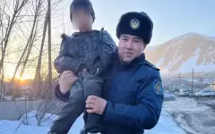 Серебрянск переполошила новость о пропаже семилетнего мальчика