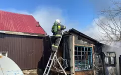 Бабушку и ее внуков спасли из горящего дома в Павлодарской области