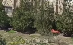 Мужчина зажег костер в центре Актау, полежал у огня и скрылся
