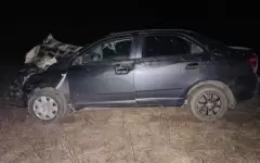Водитель пострадал при наезде на жеребенка в Павлодарской области