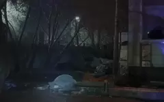 Легковушка на скорости выехала на тротуар в Караганде: погибла женщина-пешеход
