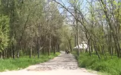 В дендрологическом парке Шымкента посадят 184 вида новых растений