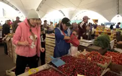 В Астане начнет работу сельскохозяйственная ярмарка