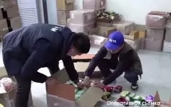 Спецоперация: изъята партия снюсов, которой хватило бы каждому второму казахстанцу