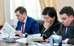 Пять новых заводов по производству автомобилей запустят в Казахстане