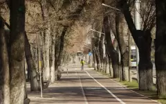 До 24 градусов тепла обещают в мегаполисах Казахстана в четверг