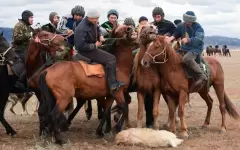 Суд наказал казахстанца за кокпар на трассе