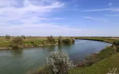 Более миллиарда кубометров воды направили в один из районов Туркестанской области