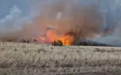 Степной пожар в Баянаульском районе локализован