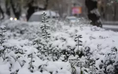 Дождь, снег и сильный ветер обещают в одном из мегаполисов Казахстана в пятницу