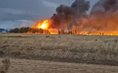 Степной пожар тушат в Баянаульском районе
