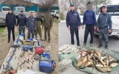 Свыше 100 килограммов рыбы изъяли у браконьеров в Балхашском районе