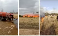 Крупный степной пожар тушат в Баянаульском нацпарке