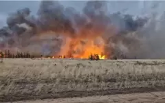 Степной пожар тушат в Павлодарской области