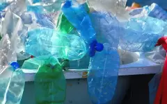 Российский ученый открыл микроорганизмы, разлагающие пластик