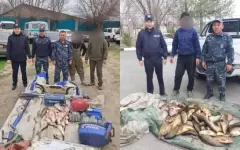 Автомобили с рыбой остановили в Алматинской области