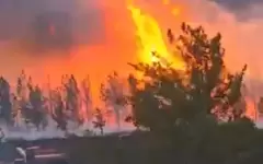 Лесничество горит в Баянауле