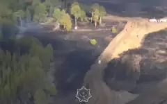 Природный пожар продолжают тушить в области Абай