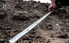 Государству возвращены неиспользуемые земли в Акмолинской области