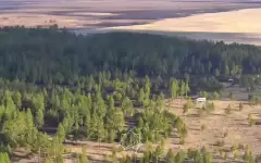 Лесной пожар в области Абай: МЧС показало масштабы