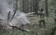 Пожар в Семей орманы полностью ликвидировали