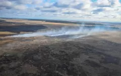Лесной пожар в области Абай полностью локализован