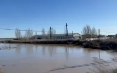 Паводковая ситуация в Атбасарском районе стабилизировалась