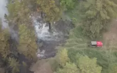 Пожар в области Абай локализовали